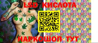 PSILOCYBIN Бугуруслан