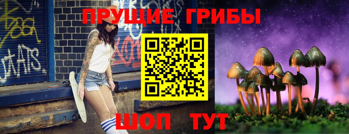 Псилоцибиновые грибы GOLDEN TEACHER Петропавловск-Камчатский